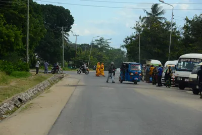 DSC_8740 (Large).JPG